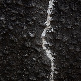 dailyPhoto15